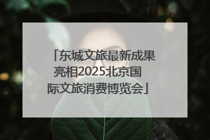 东城文旅最新成果亮相2025北京国际文旅消费博览会