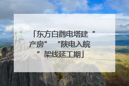 东方白鹳电塔建“产房” “陕电入皖”架线延工期