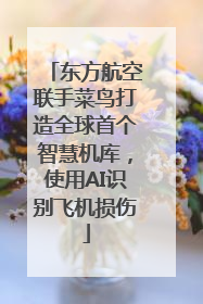 东方航空联手菜鸟打造全球首个智慧机库，使用AI识别飞机损伤