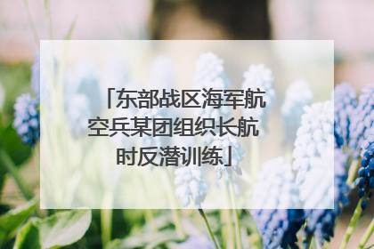 东部战区海军航空兵某团组织长航时反潜训练