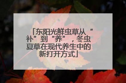 东阳光鲜虫草从“补”到“养”，冬虫夏草在现代养生中的新打开方式
