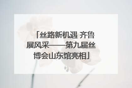 丝路新机遇 齐鲁展风采——第九届丝博会山东馆亮相