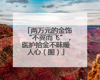 两万元的金饰“不翼而飞”，医护拾金不昧暖人心（图）