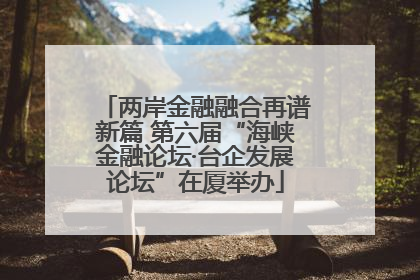 两岸金融融合再谱新篇 第六届“海峡金融论坛·台企发展论坛”在厦举办