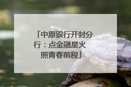 中原银行开封分行：点金融星火 照青春前程