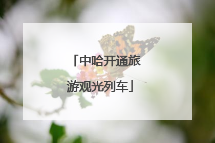 中哈开通旅游观光列车