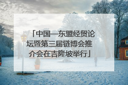中国—东盟经贸论坛暨第三届链博会推介会在吉隆坡举行
