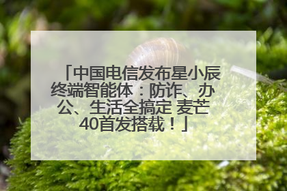 中国电信发布星小辰终端智能体：防诈、办公、生活全搞定 麦芒40首发搭载！
