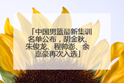 中国男篮最新集训名单公布，胡金秋、朱俊龙、程帅澎、余嘉豪再次入选