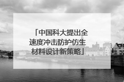 中国科大提出全速度冲击防护仿生材料设计新策略