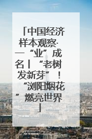 中国经济样本观察·一“业”成名丨“老树发新芽”！“浏阳烟花”燃亮世界