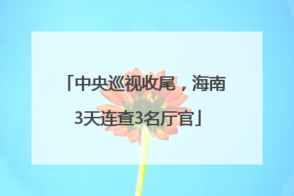中央巡视收尾，海南3天连查3名厅官