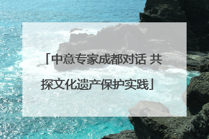 中意专家成都对话 共探文化遗产保护实践