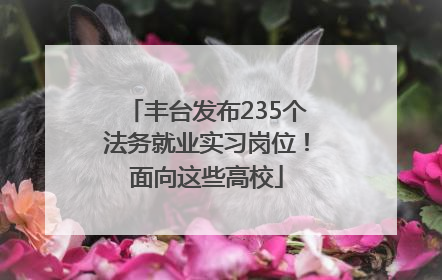 丰台发布235个法务就业实习岗位！面向这些高校
