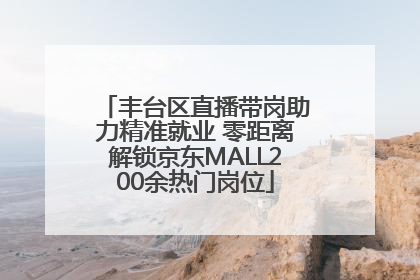 丰台区直播带岗助力精准就业 零距离解锁京东MALL200余热门岗位