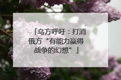 乌方呼吁：打消俄方“有能力赢得战争的幻想”