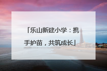 乐山新建小学：携手护苗，共筑成长