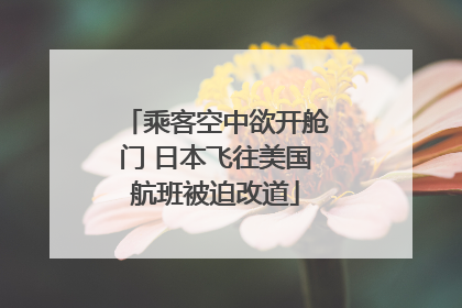 乘客空中欲开舱门 日本飞往美国航班被迫改道