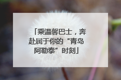 乘温馨巴士，奔赴属于你的“青岛阿勒泰”时刻