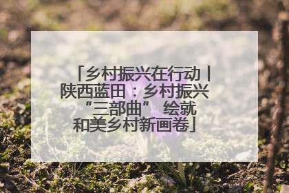 乡村振兴在行动丨陕西蓝田：乡村振兴 “三部曲” 绘就和美乡村新画卷