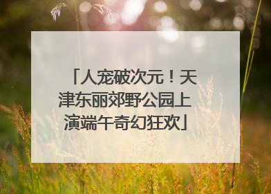 人宠破次元！天津东丽郊野公园上演端午奇幻狂欢
