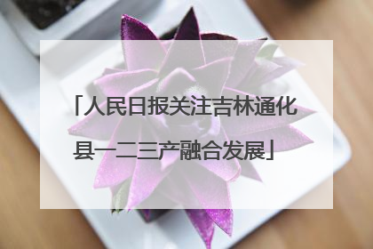 人民日报关注吉林通化县一二三产融合发展