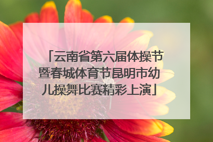 云南省第六届体操节暨春城体育节昆明市幼儿操舞比赛精彩上演