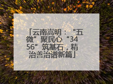云南嵩明：“五微”聚民心“3456”筑基石，精治善治谱新篇
