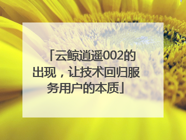 云鲸逍遥002的出现，让技术回归服务用户的本质