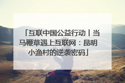 互联中国公益行动丨当马鞭草遇上互联网：昆明小渔村的逆袭密码