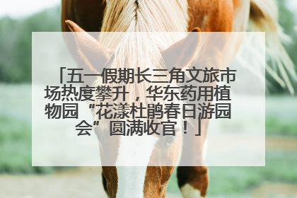 五一假期长三角文旅市场热度攀升，华东药用植物园“花漾杜鹃春日游园会”圆满收官！