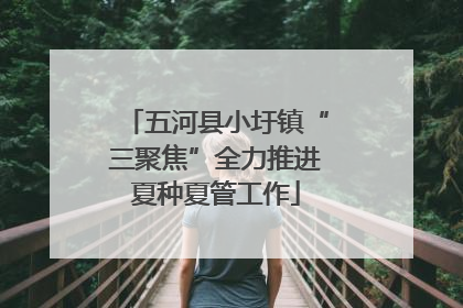 五河县小圩镇“三聚焦”全力推进夏种夏管工作