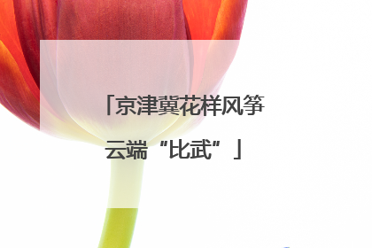 京津冀花样风筝云端“比武”