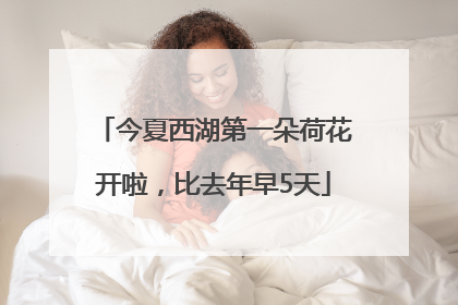 今夏西湖第一朵荷花开啦，比去年早5天