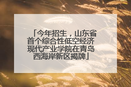 今年招生，山东省首个综合性低空经济现代产业学院在青岛西海岸新区揭牌