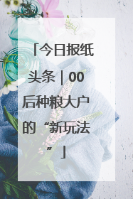 今日报纸头条｜00后种粮大户的“新玩法”