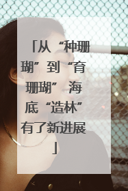 从“种珊瑚”到“育珊瑚” 海底“造林”有了新进展