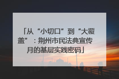从“小切口”到“大覆盖”：荆州市民法典宣传月的基层实践密码