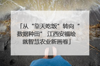 从“靠天吃饭”转向“数据种田” 江西安福绘就智慧农业新画卷