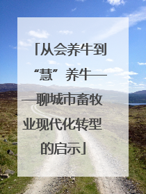 从会养牛到“慧”养牛——聊城市畜牧业现代化转型的启示