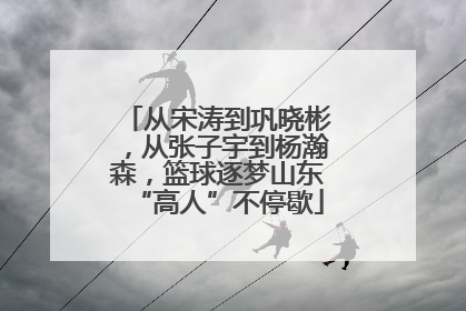 从宋涛到巩晓彬，从张子宇到杨瀚森，篮球逐梦山东“高人”不停歇