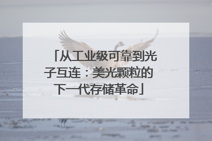 从工业级可靠到光子互连：美光颗粒的下一代存储革命