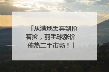 从满地丢弃到抢着捡，羽毛球涨价催热二手市场！