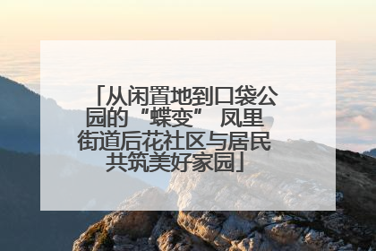 从闲置地到口袋公园的“蝶变” 凤里街道后花社区与居民共筑美好家园