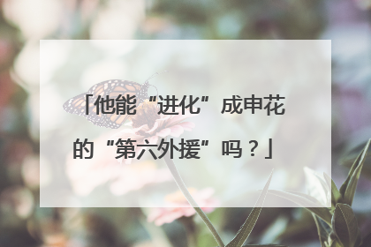 他能“进化”成申花的“第六外援”吗？