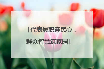代表履职连民心，群众智慧筑家园