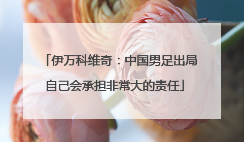 伊万科维奇：中国男足出局自己会承担非常大的责任
