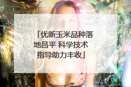 优新玉米品种落地昌平 科学技术指导助力丰收