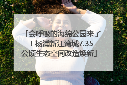 会呼吸的海绵公园来了！杨浦新江湾城7.35公顷生态空间改造焕新