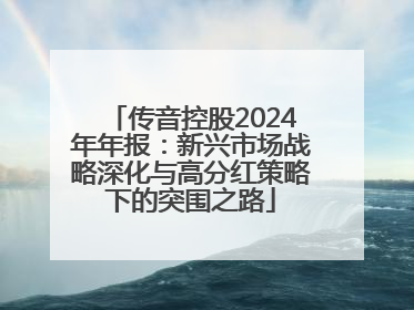 传音控股2024年年报：新兴市场战略深化与高分红策略下的突围之路